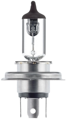 BEHR/HELLA/PAGID 8GJ 002 525-301 - Лампа накаливания, фара дальнего света