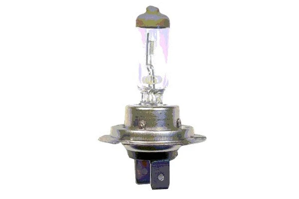 SCT GERMANY 202174 - Лампа накаливания, фара дальнего света